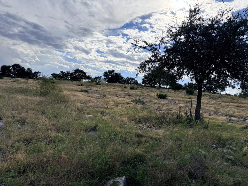 Picture 31