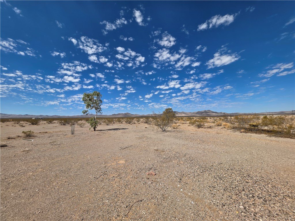 Picture 21