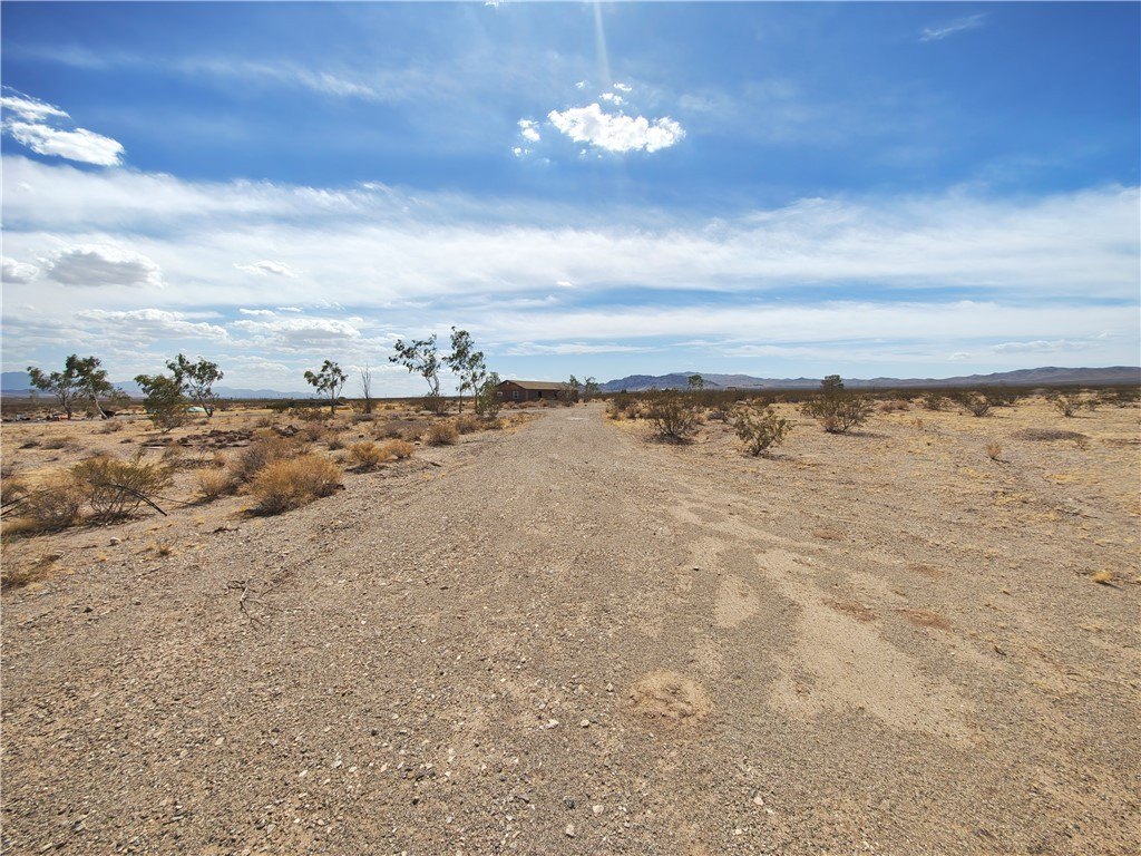 Picture 28