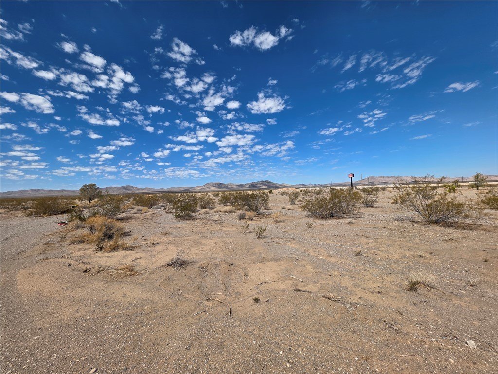 Picture 17