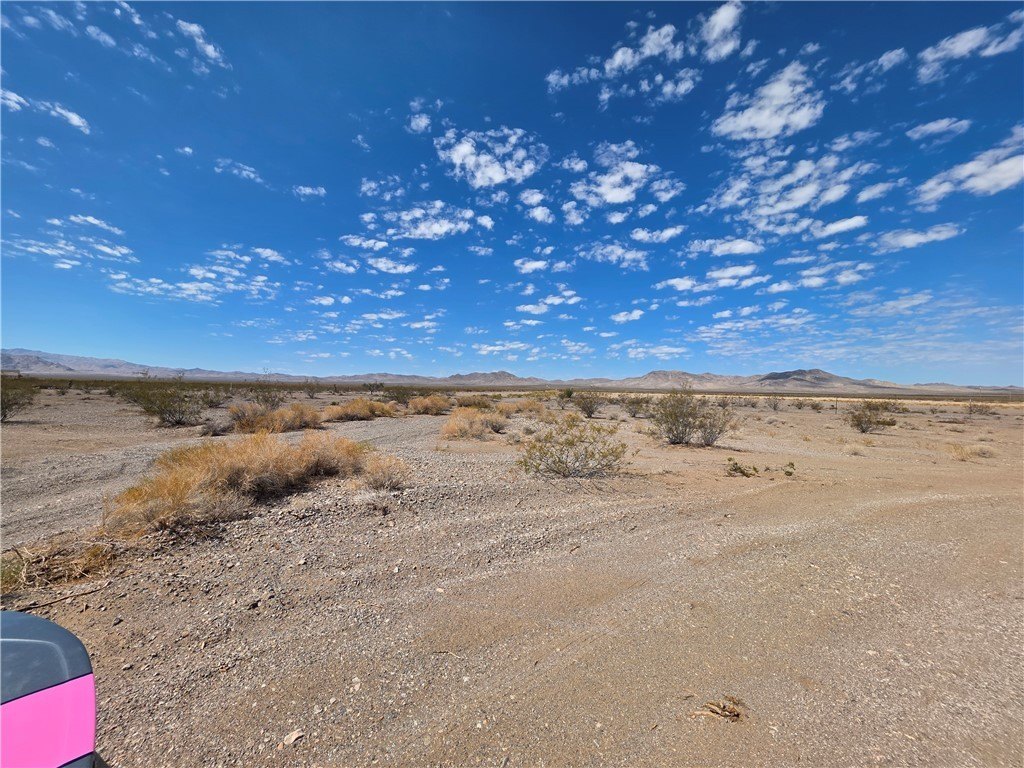 Picture 25