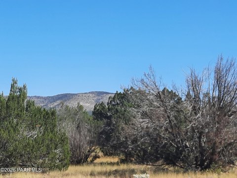 Land, Seligman, AZ