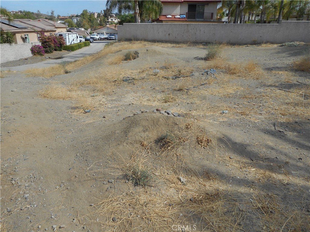 Picture 12
