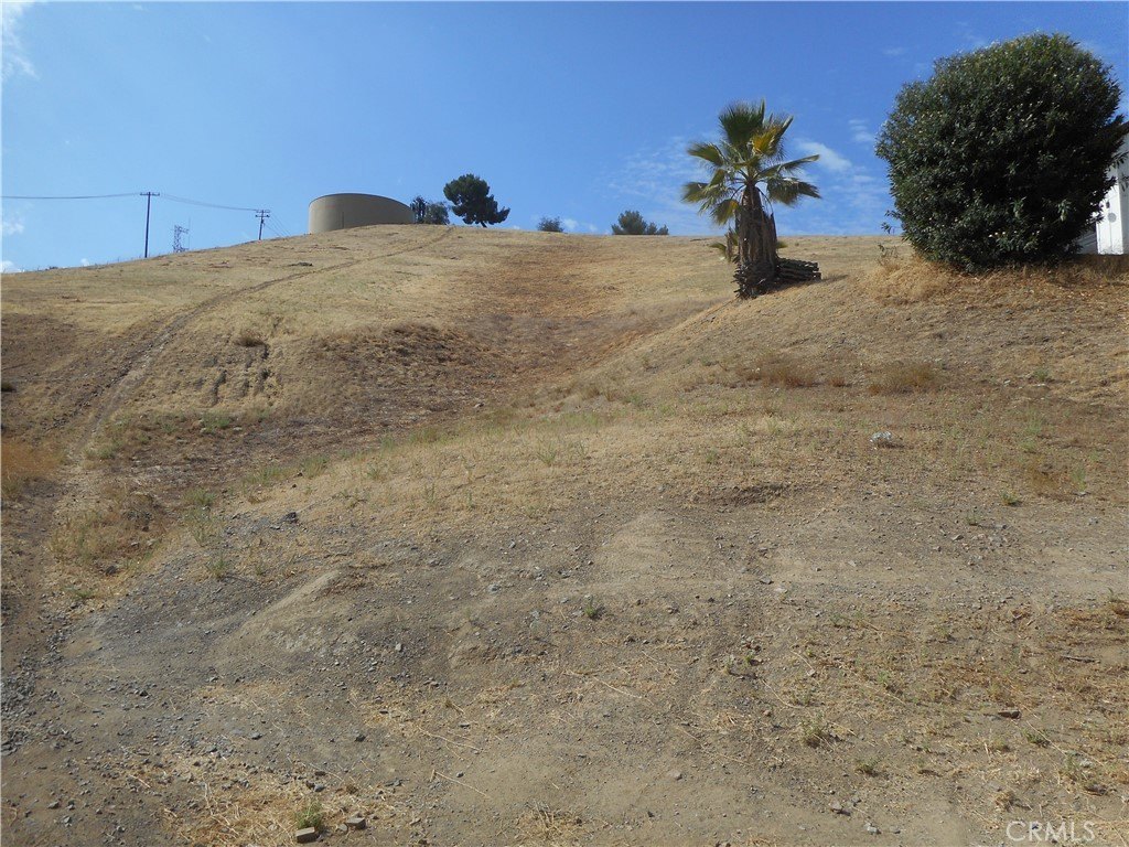 Picture 10