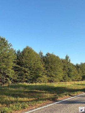Agricultural Land with Fencing