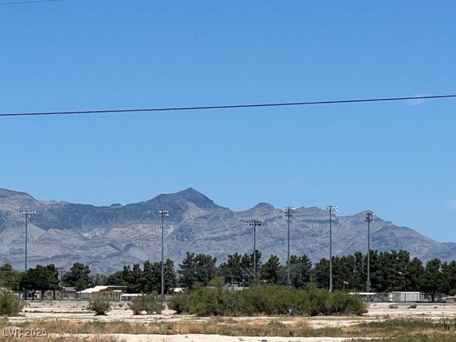Picture 10