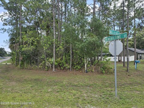 Palm Bay Corner Lot
