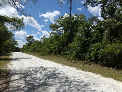 Land, WEBSTER, FL