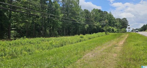 PINSON, AL Acreage For Sale