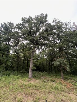 Land, Mabank, TX