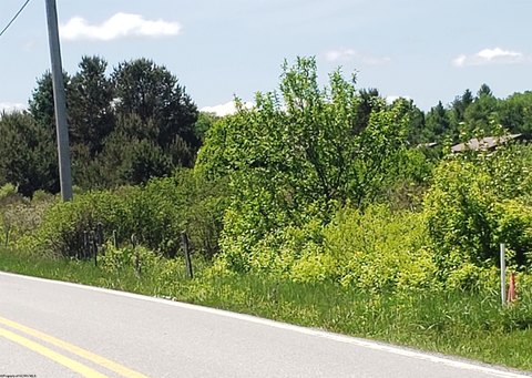 Lots/Land, Davis, WV