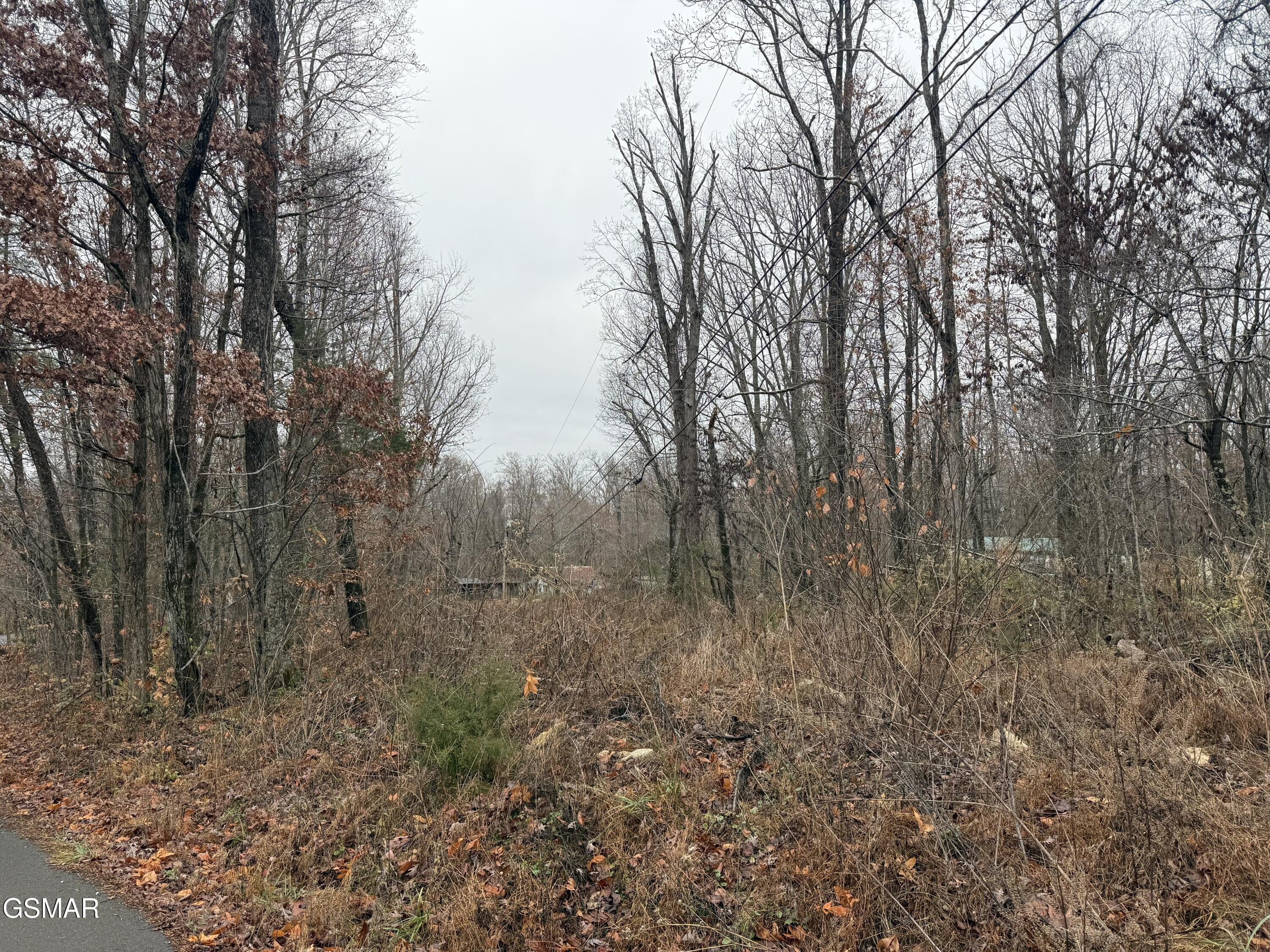 Residential Land in Dandridge, TN