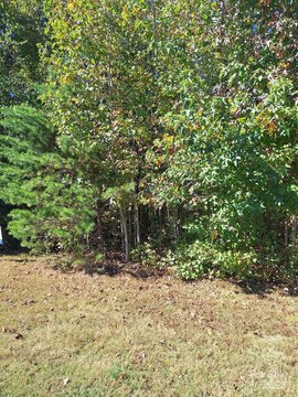 Residential Land in Iron Station