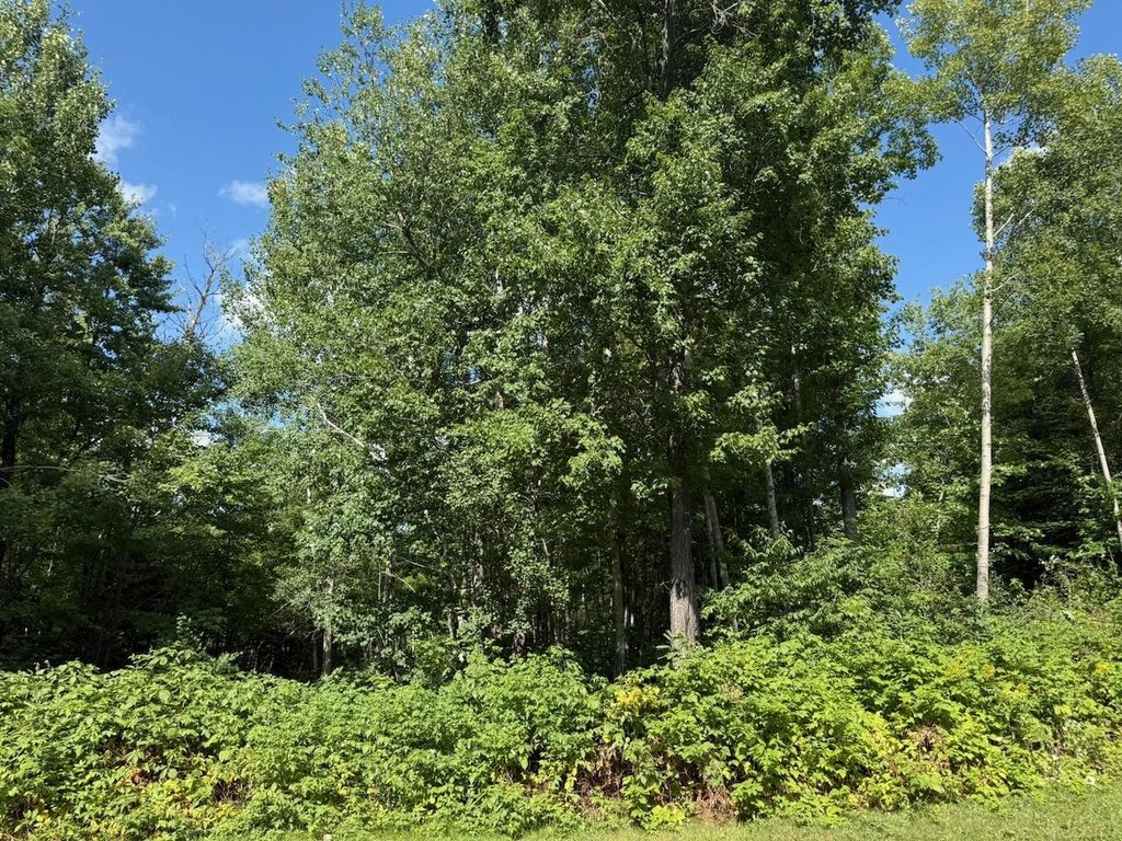 Picture 25