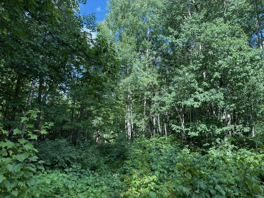 Picture 16