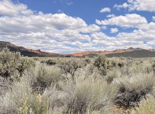Panguitch, UT Land Parcel