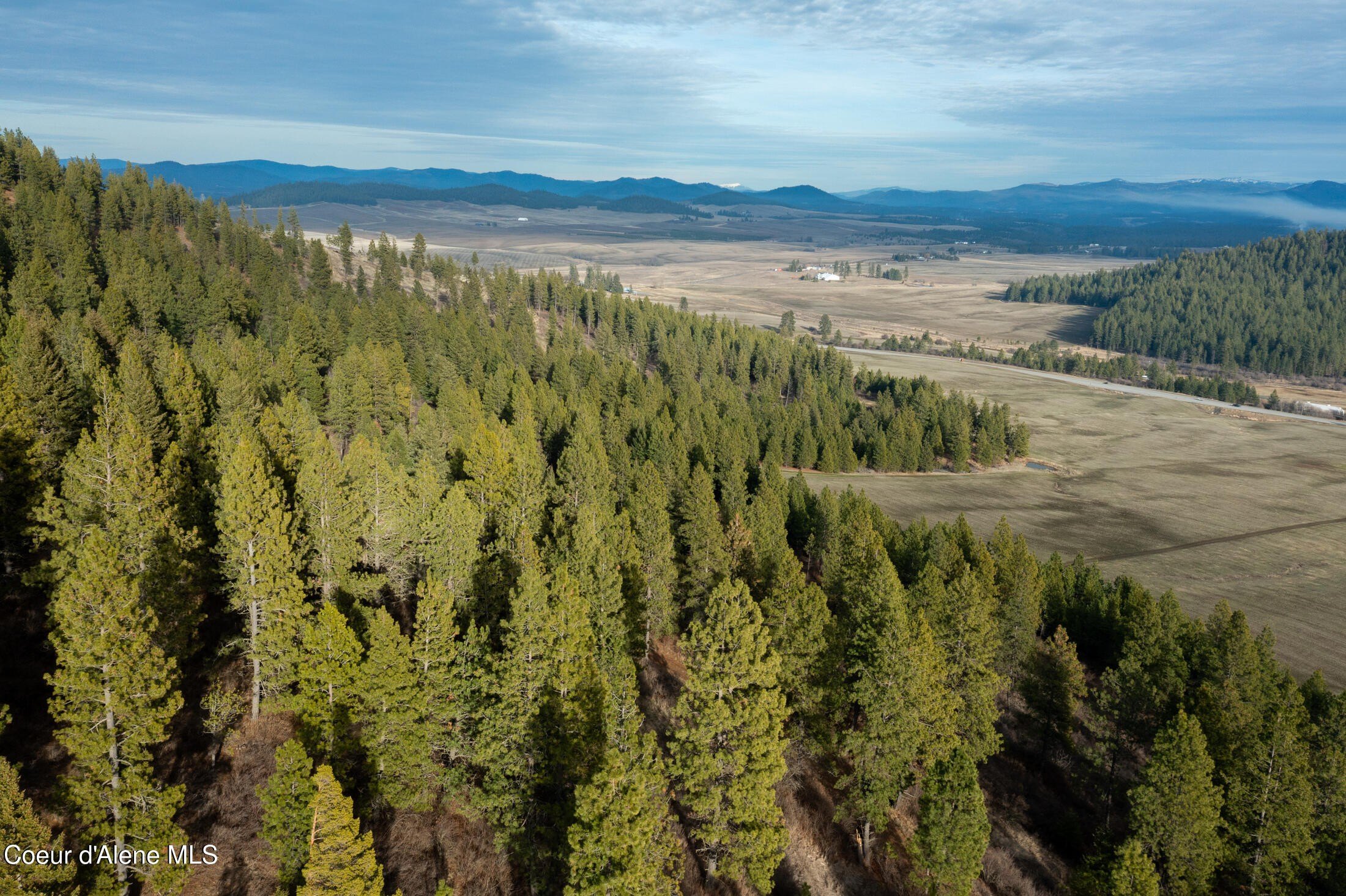 Worley ID Timbered Land Parcel