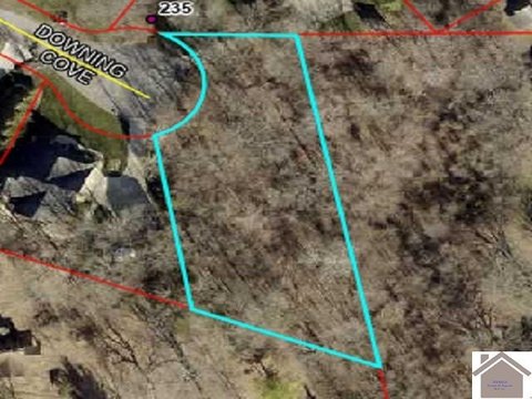 Wooded Lot in Meadows Subdivision