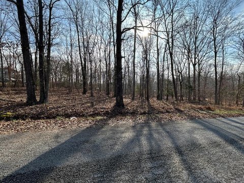 Residential Lot Near Kentucky Lake