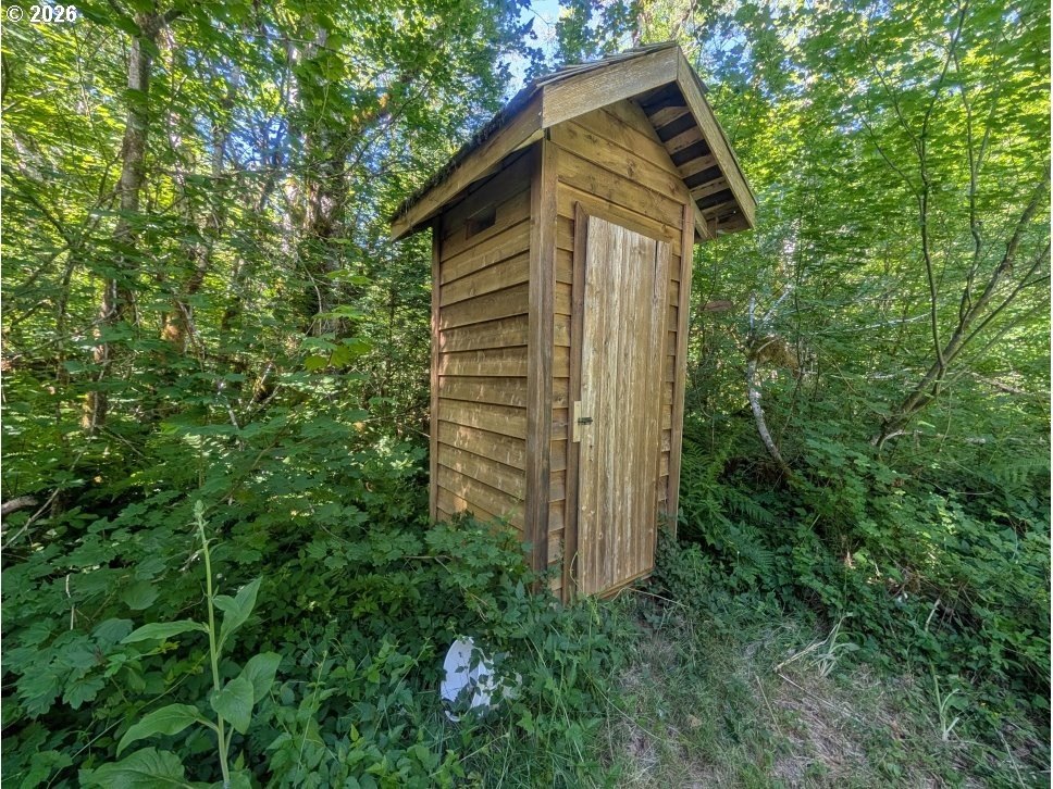 Picture 8
