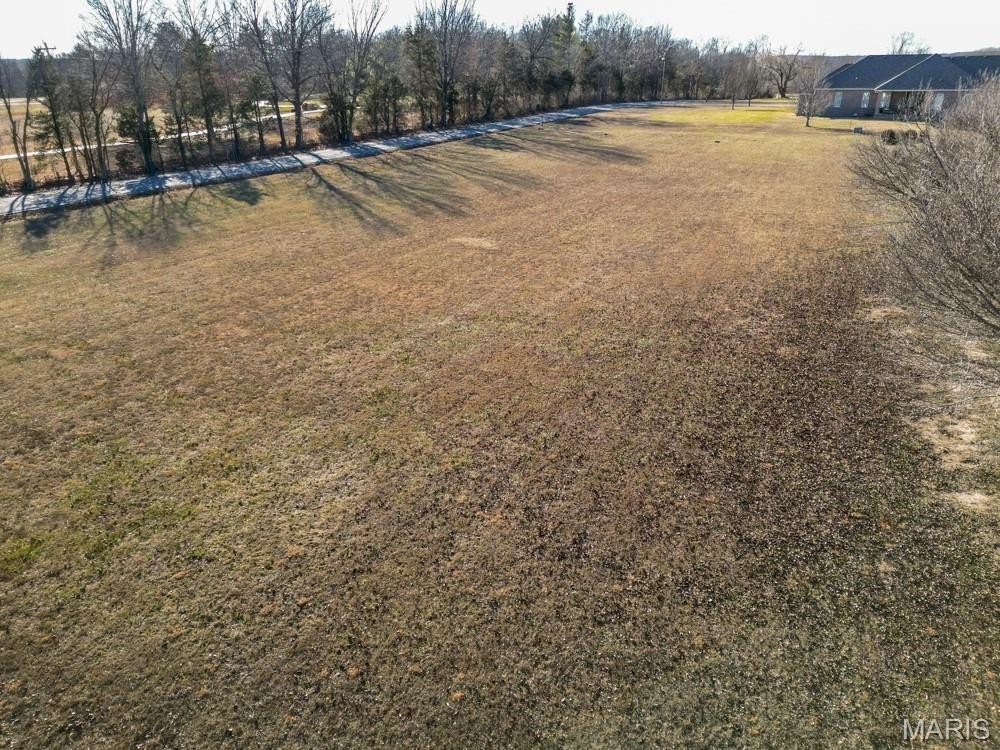 Picture 13