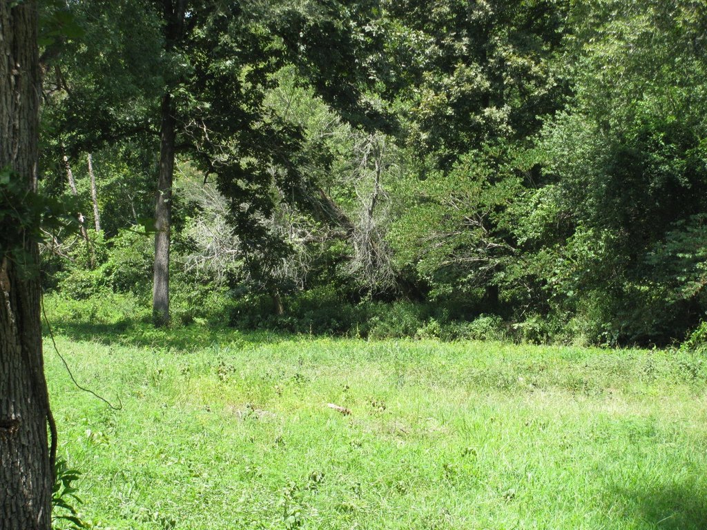 Picture 7