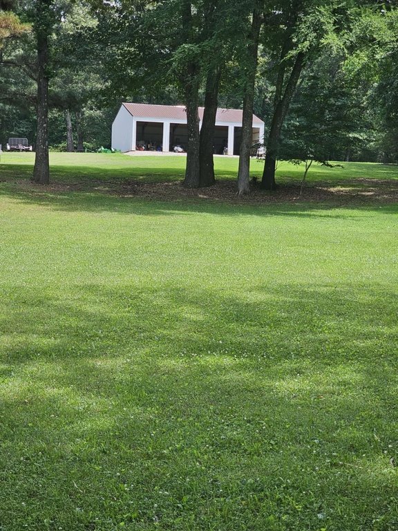 Picture 2