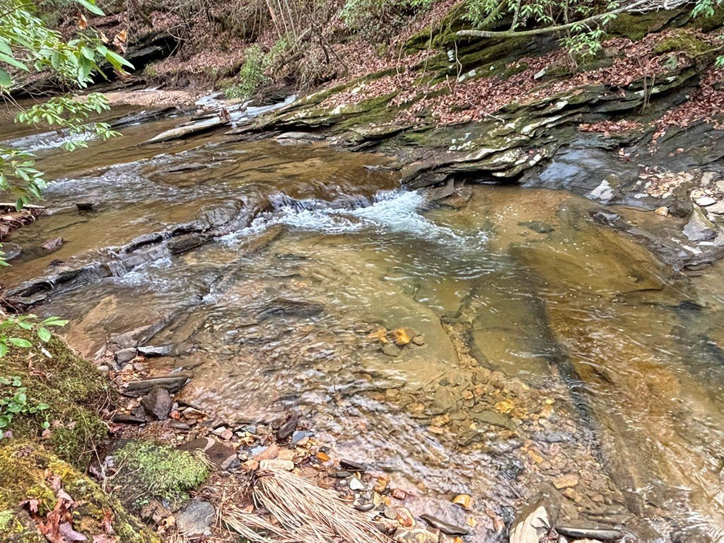 Picture 29