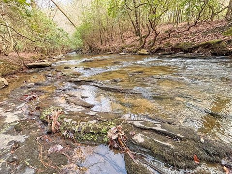 Creekfront Waterfront Land Parcel