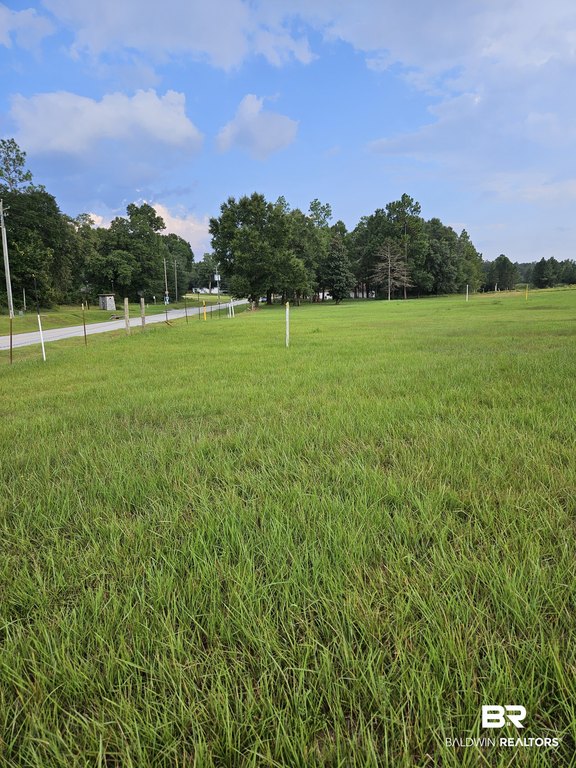 Picture 3