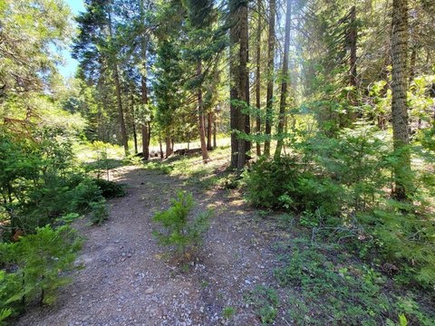 2.5 Acres in Mount Shasta