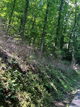 Pikeville Residential Land Available