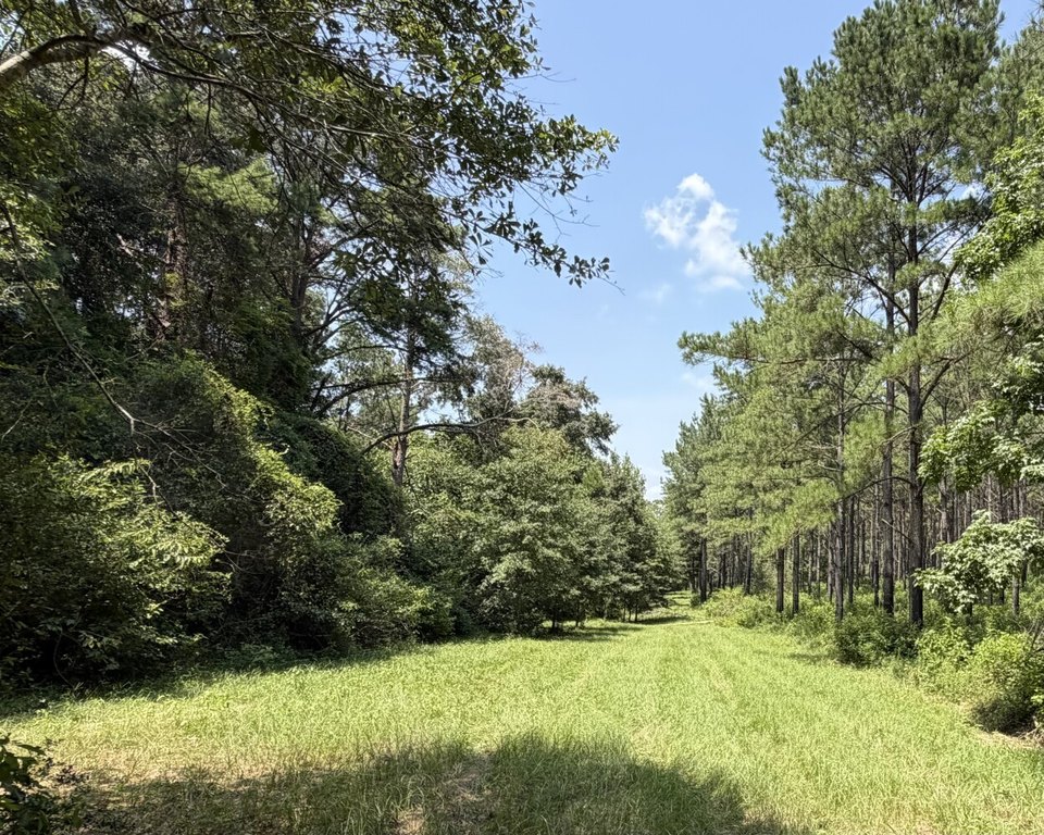 Picture 21