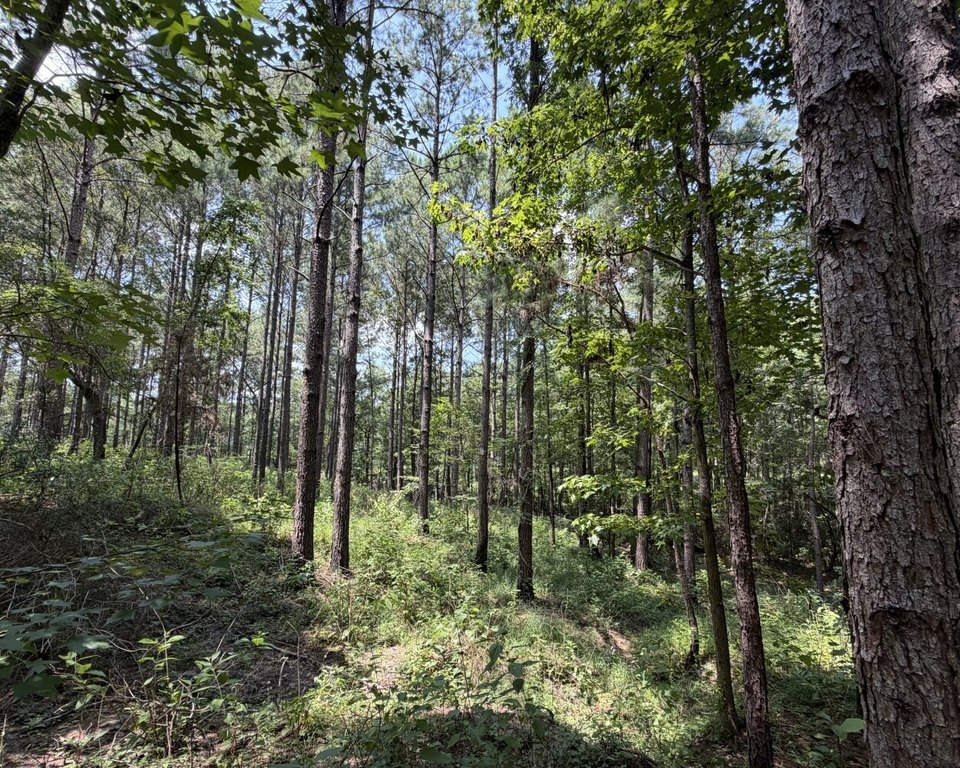Picture 25
