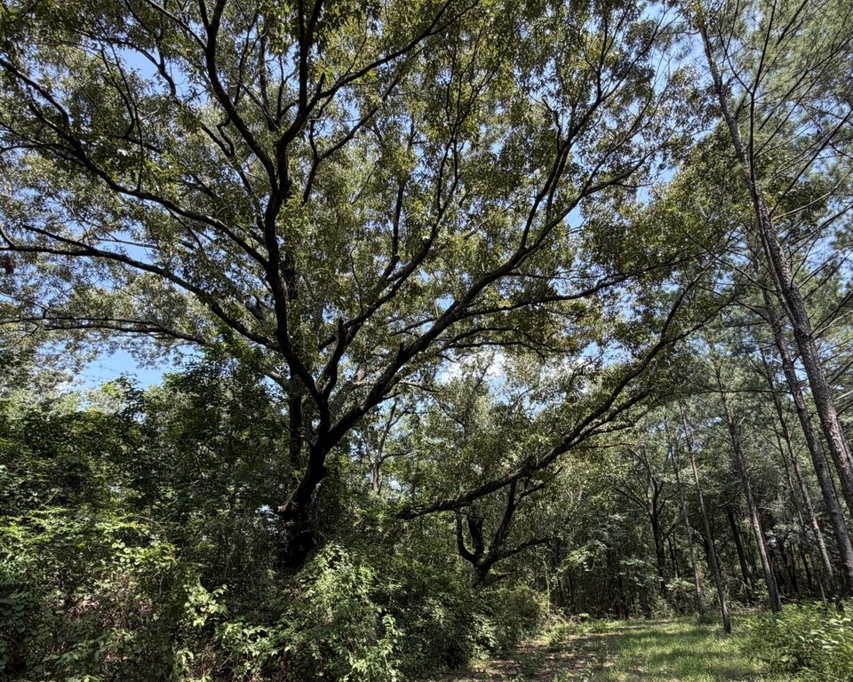 Picture 18
