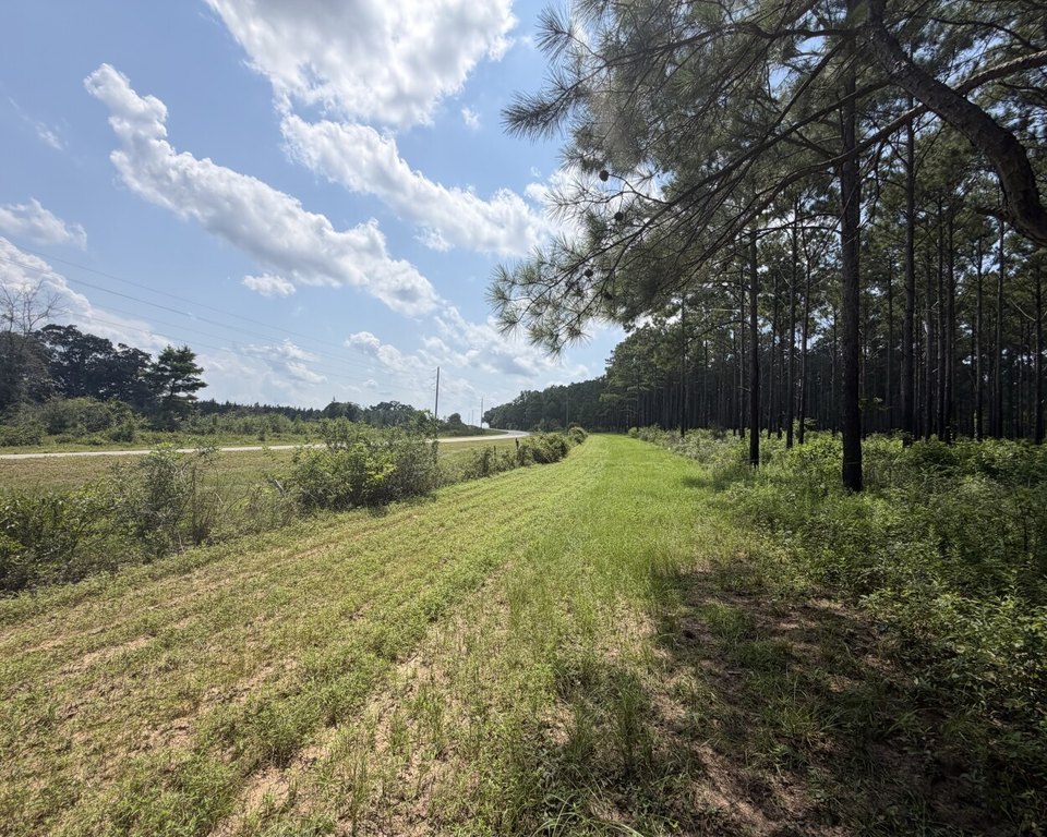 Picture 30