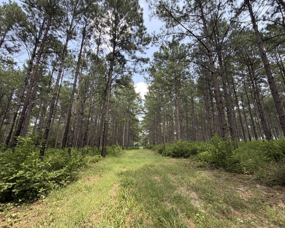 Picture 20