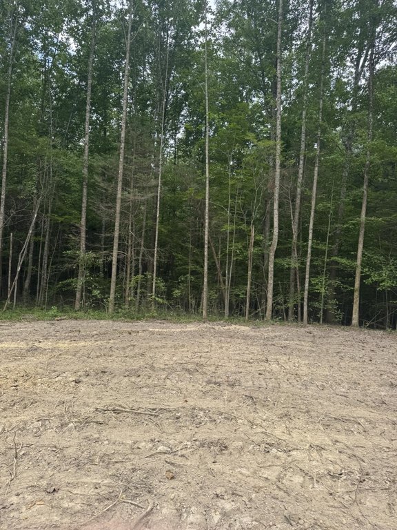 Picture 15
