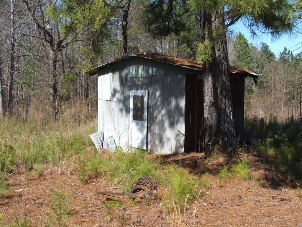 Picture 5