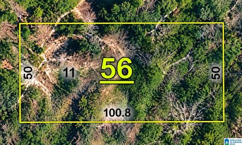 LAND/LOTS, ANNISTON, AL