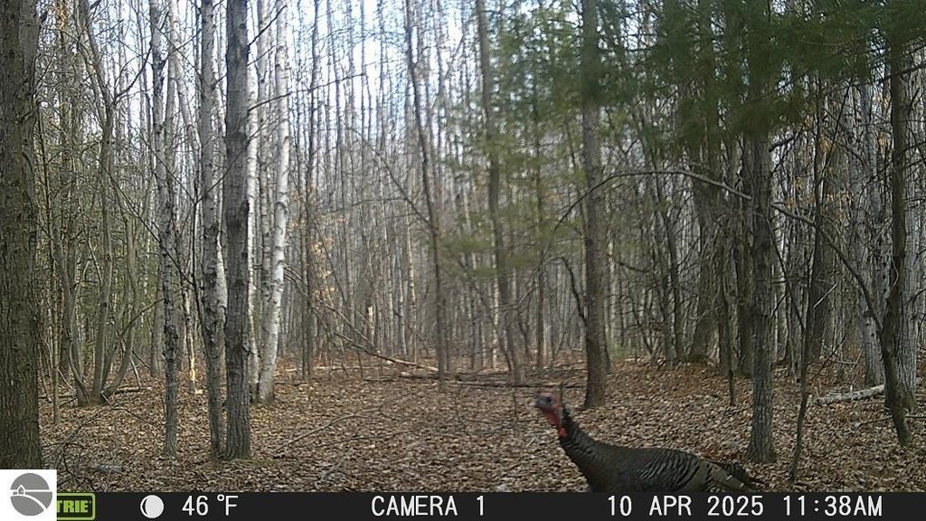 Picture 15