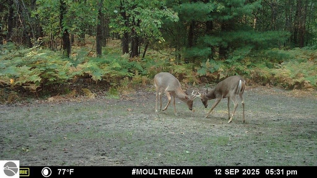 Picture 2