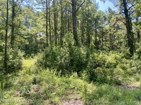 LAND - Wiggins, MS