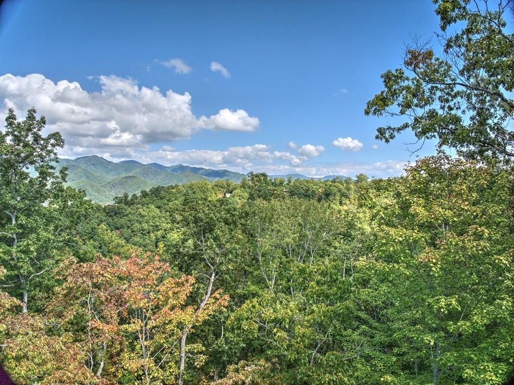 Spacious Land with Mountain Views