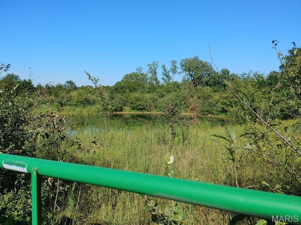 Picture 8