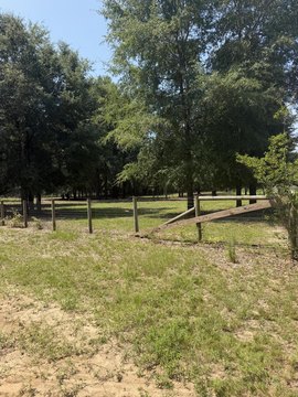 Land, Windsor, SC