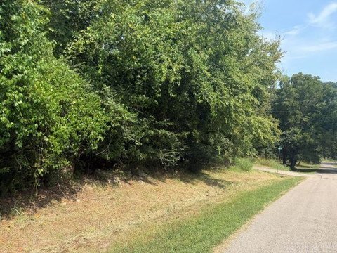 LAND - Cotter, AR