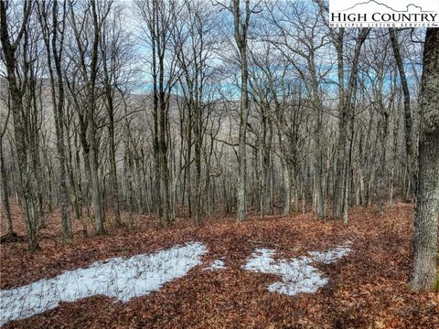 Two Acre Lot in Elk Creek