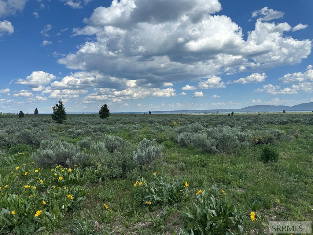 Island Park Land with Views
