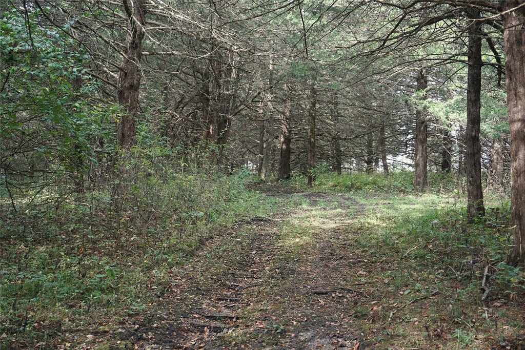 Picture 25